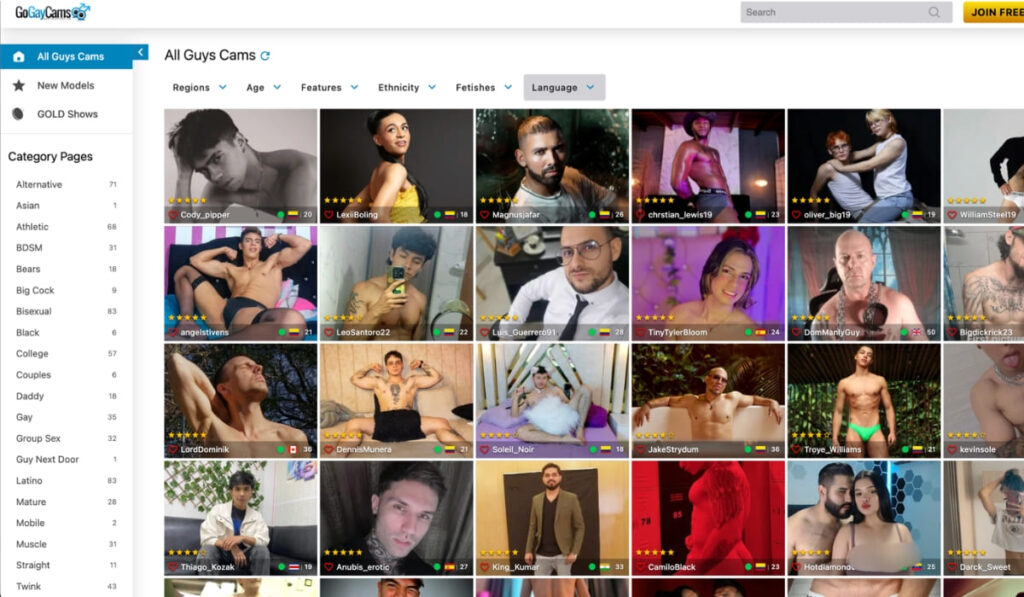 GoGayCams