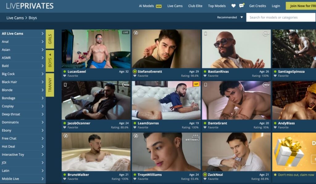 LivePrivates Gay Cams