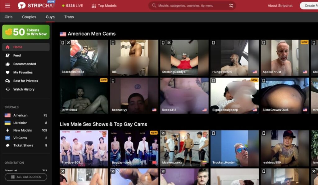 Stripchat Gay Cams